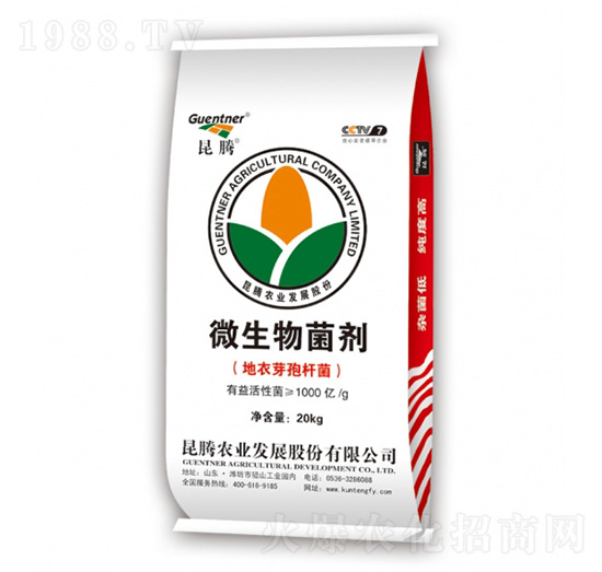 ΢�������������ѿ�ߗU����-���v����