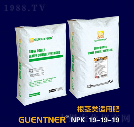 ���o��m�÷�19-19-19-���v����