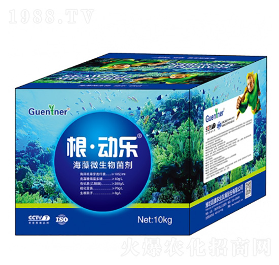 ����΢�������-�����Ә�-���v����