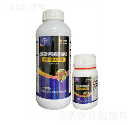 �����}�V���F�\-��������