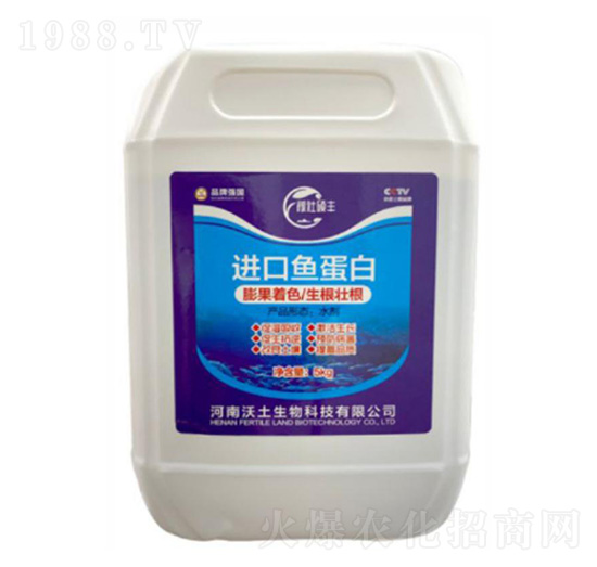 �M���~����-�ډѴT�S-��������