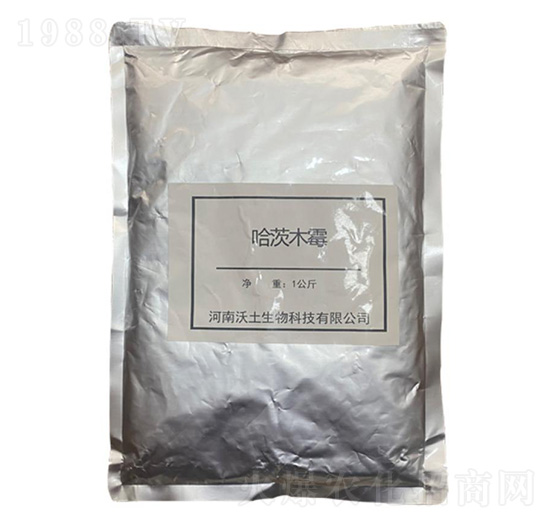 ��һ΢�������-����ľù��-��������