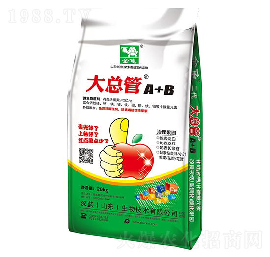 ΢�������-�󿂹�-����-���{����