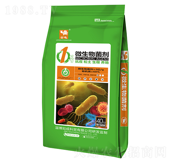 1̖΢�������-����-���{����