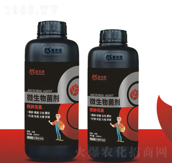 ΢�������-���[����-���S��