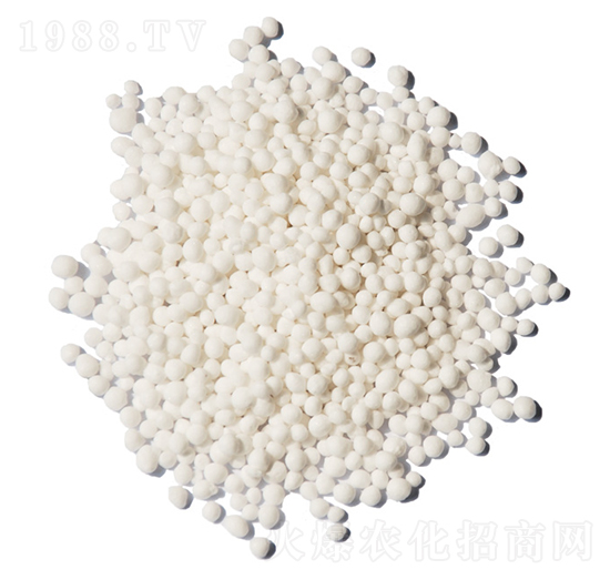 �A�w�����-ïʩ����