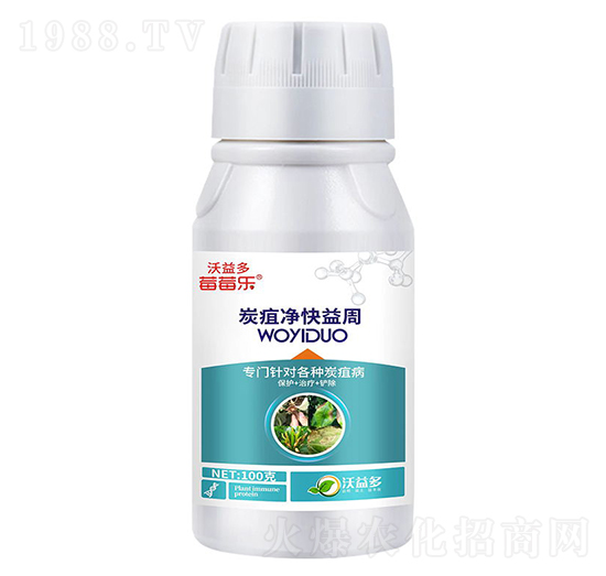 ̿�҃�������-ݮݮ��-�����