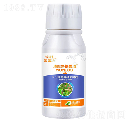 ������������-ݮݮ��(l��)-�����