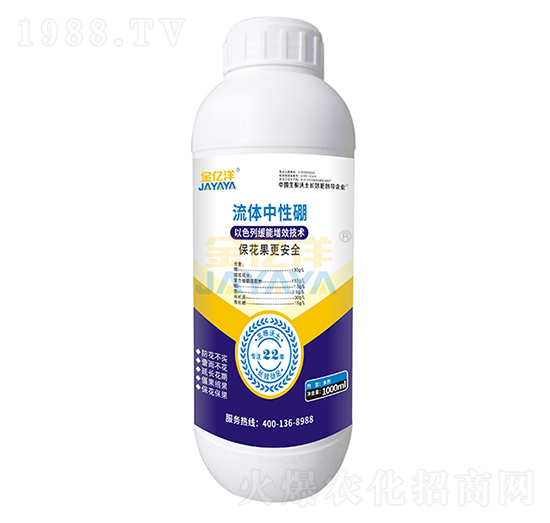 ���w������-���|��