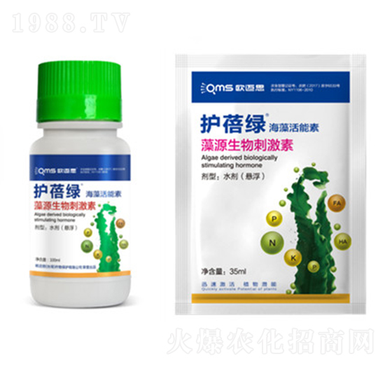 �o(h��)���G-���������-�W�~˼�r(n��ng)�I(y��)