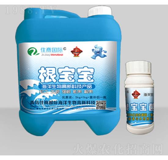 ������-ס�̇��H