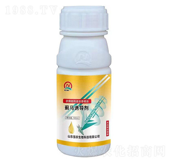 �E�R�T����-���r