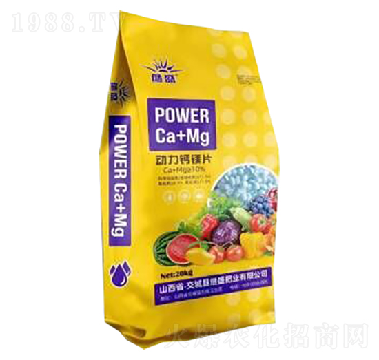 �����}�VƬ-�^ʢ�ʘI(y��)