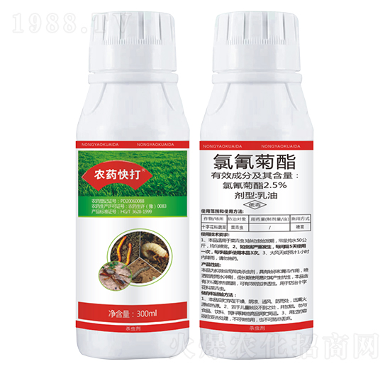 2.5%�����������-�rˎ���-���˻��W