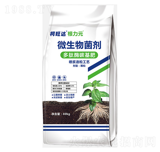 ����Ԫ����ø̿����-�����_-�֠����r�I(y��)