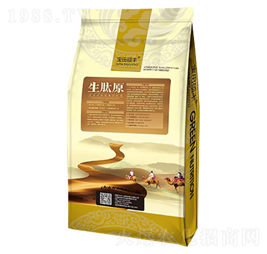 ����ԭ-����ʘI(y��)