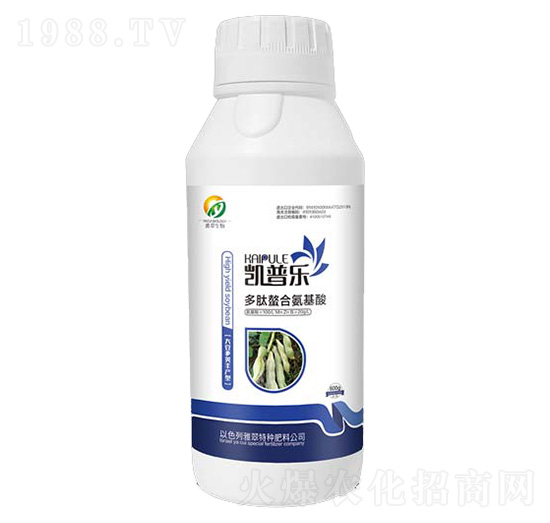 �󶹌��ö������ϰ�����-�P�՘�-�Ŵ�����