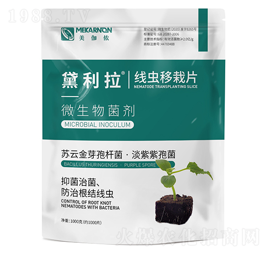 ���x����Ƭ-������-��٤�z