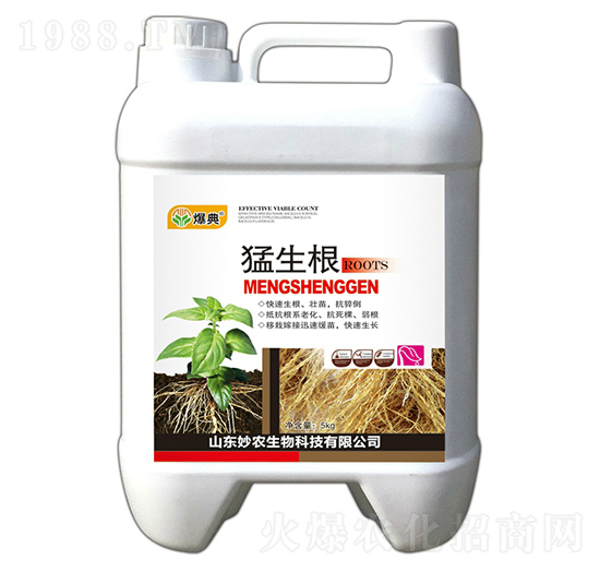 ������-����-���r����