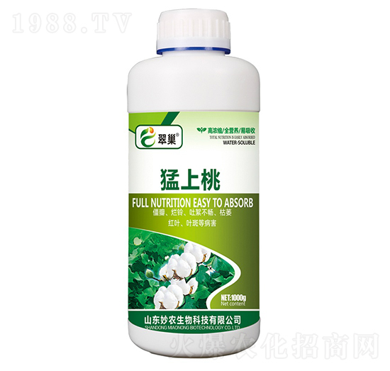 ������-�䳲-���r����