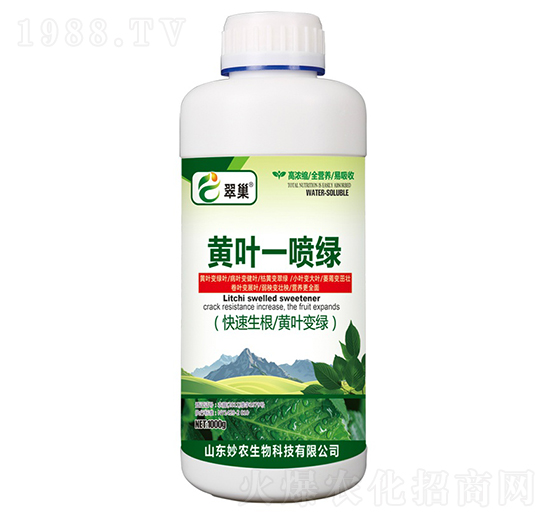 黃葉一噴綠-翠巢-妙農(nóng)生物