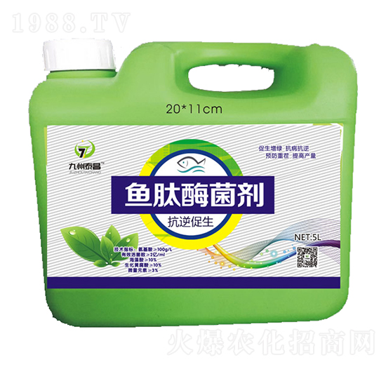 �~��ø���������������-��̩����