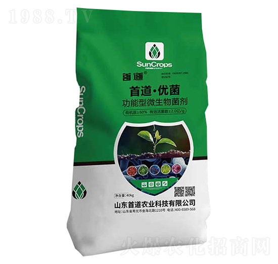 �׵�����(y��u)��������΢�������-�׵��r(n��ng)�I(y��)