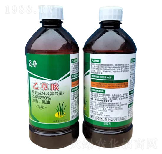 50%�Ҳݰ�����-����-Ұ������