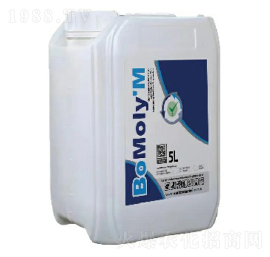 �����_�����z���f-�����_