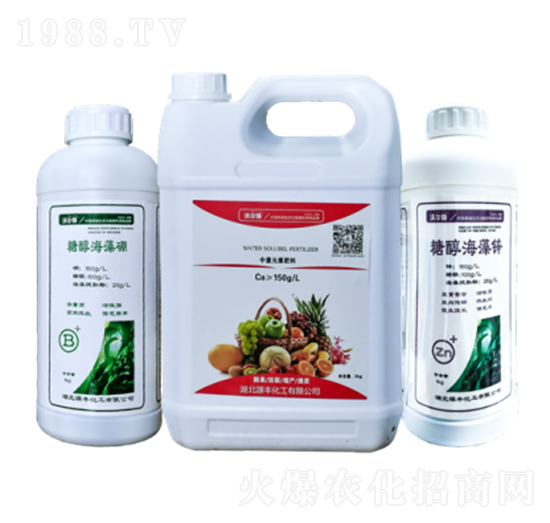 �Ǵ��\�������}-Դ�S����