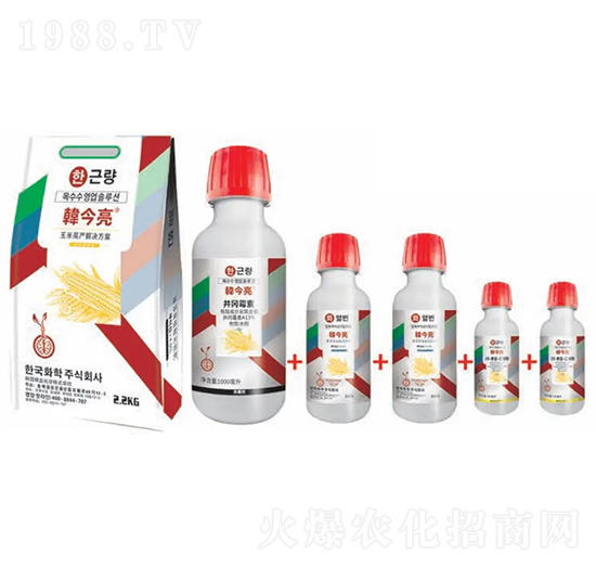 ���׸߮a(ch��n)��Q����-�n����-�n�ѻ��W(xu��)