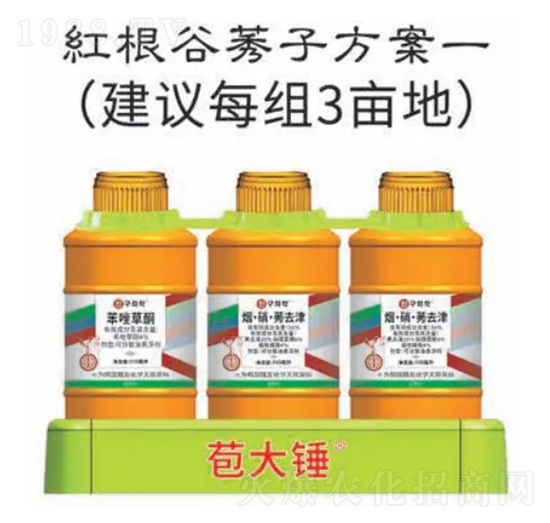 �t����ݬ�ӷ���-�����N-�n�ѻ��W