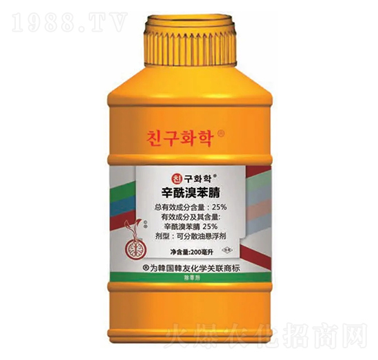 ��������݄��������屽�棩-����-�n�ѻ��W