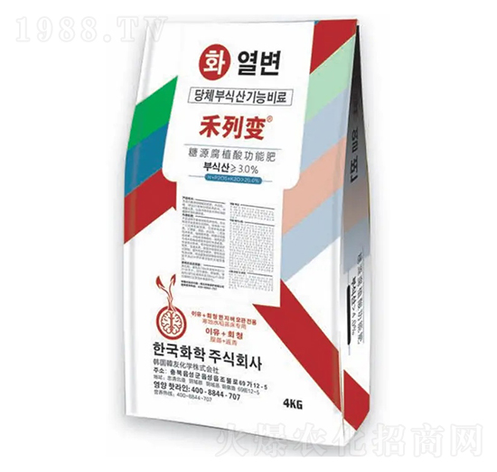 ������ȫ�I(y��ng)�B(y��ng)�����ͷ����-����׃-�n�ѻ��W(xu��)