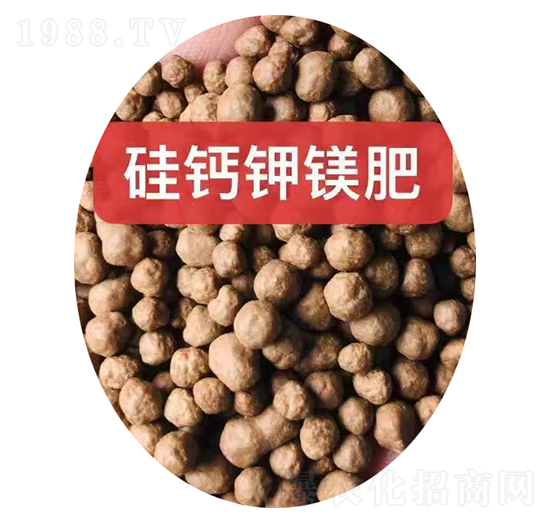 ���}��V���w��-���r(n��ng)