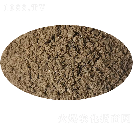 ��V���|(zh��)-�����}-���^����