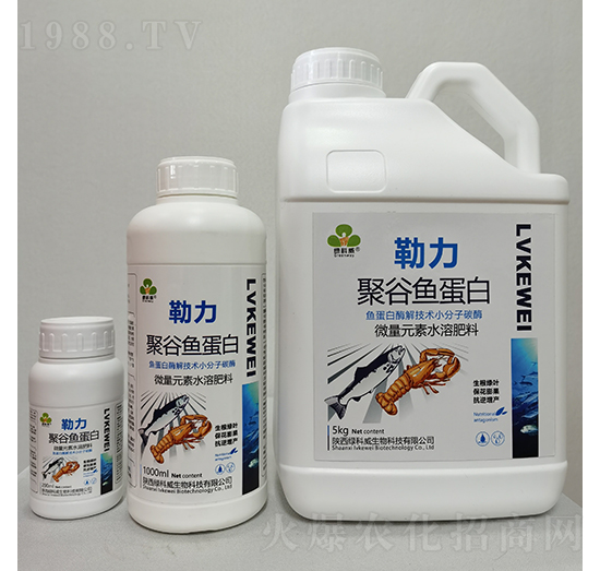 �����۹��~����-�G����