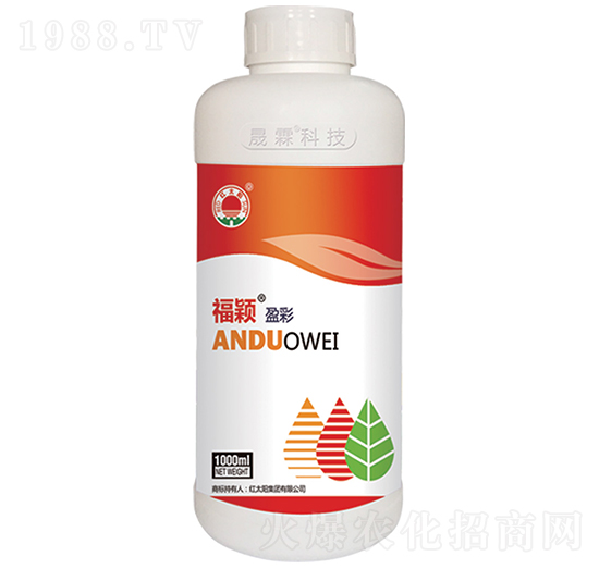 ���fӯ��-��������