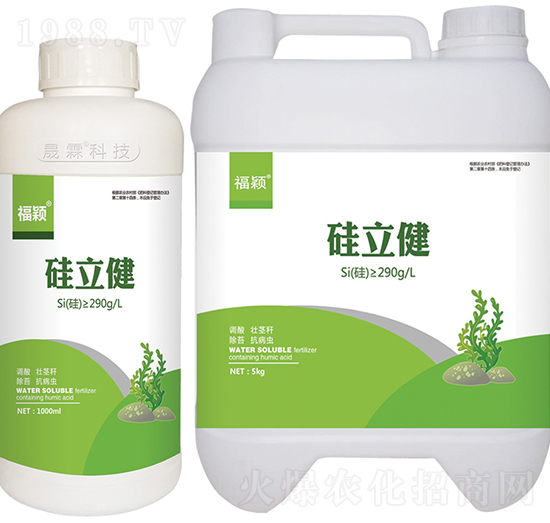 ������-��������