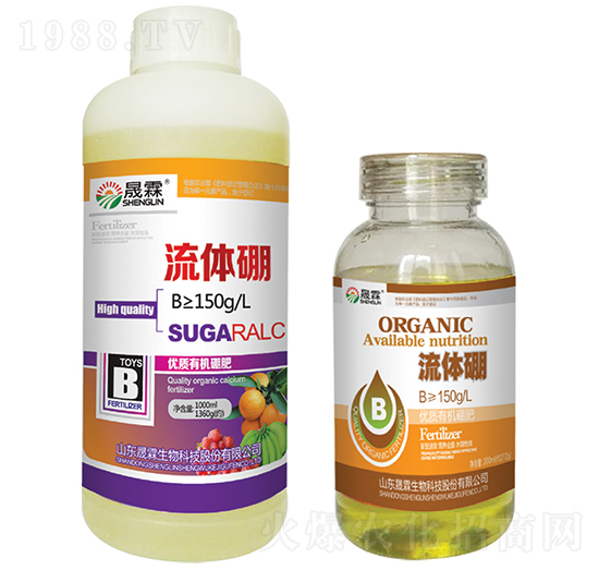 ���w��-��������