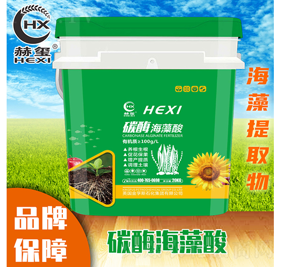 ̼ø������-�խt