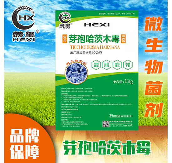 ѿ�߹���ľù-�խt