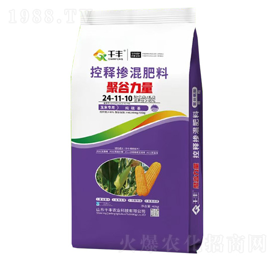 ���׌��ÿ�ጓ������24-11-10-�۹�����-ǧ�S�r(n��ng)�I(y��)