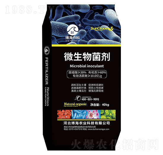 ΢�������-�����-��������