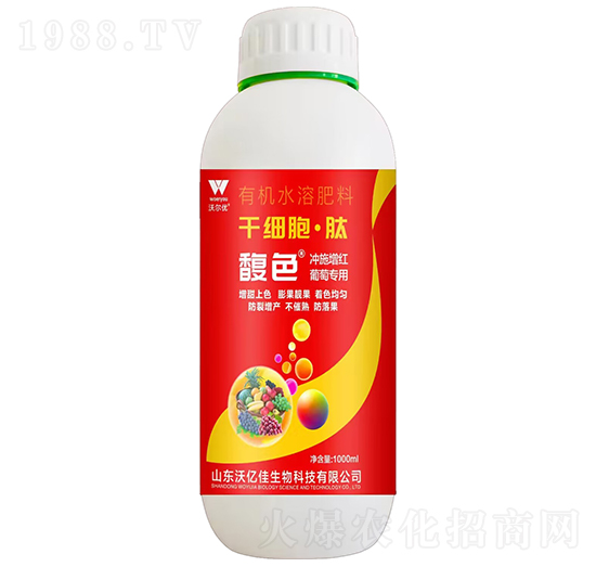 �ɼ�(x��)������-�ɫ-�֠���(y��u)