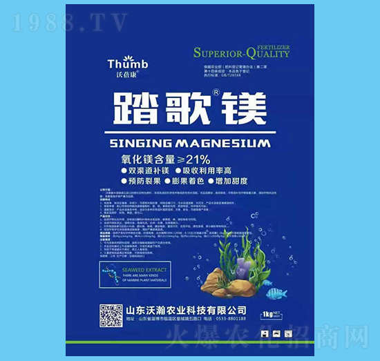 ̤���V-������-����r(n��ng)�I(y��)