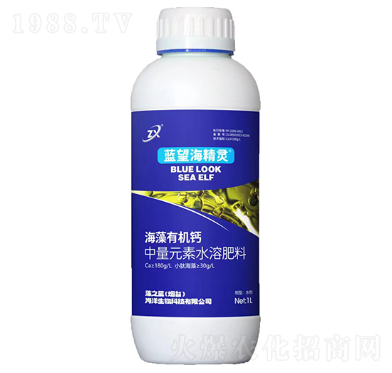 �����ЙC(j��)�}-�{(l��n)�������`-��֮�{(l��n)