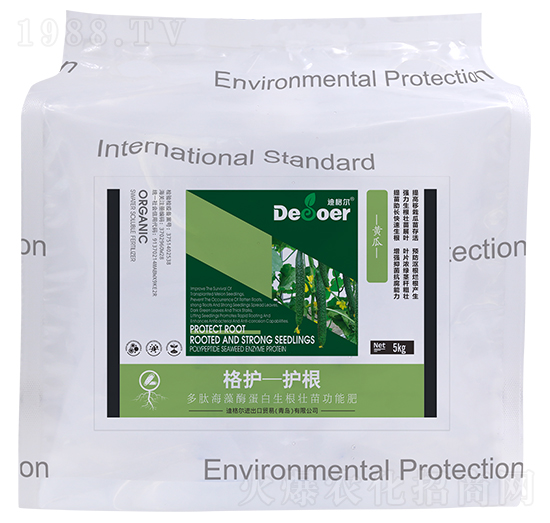 ���o-�o�����S�ϣ�-�ϸ�