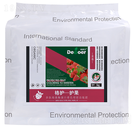 ���o-�o������ݮ��-�ϸ�