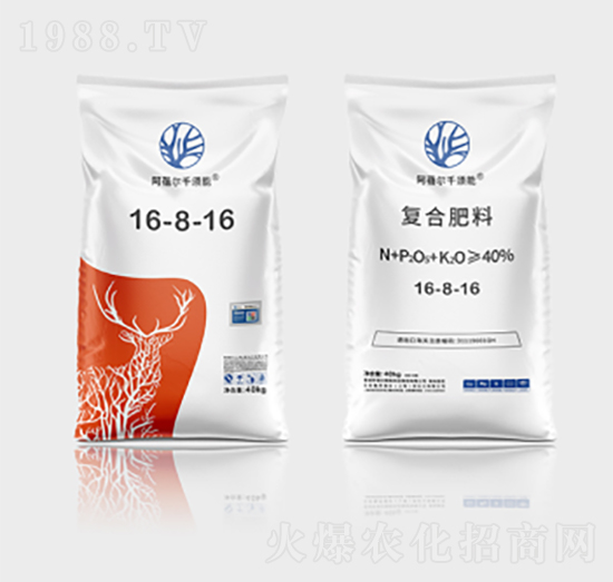 ǧ��܏ͺϷ���16-8-16